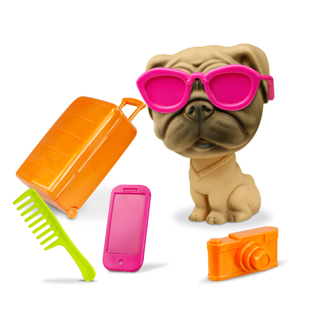 DJ CANINO - PASSEIO PET